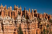 Bryce 4861